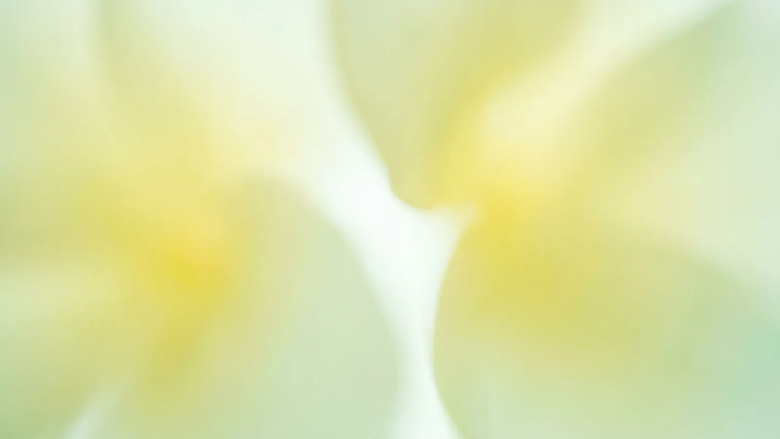 Nano Banana vs DALL·E：提示词数据说明了什么