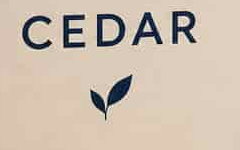 The same CEDAR crop from JPEG quality 35, with uneven patches around letters and reduced paper detail.